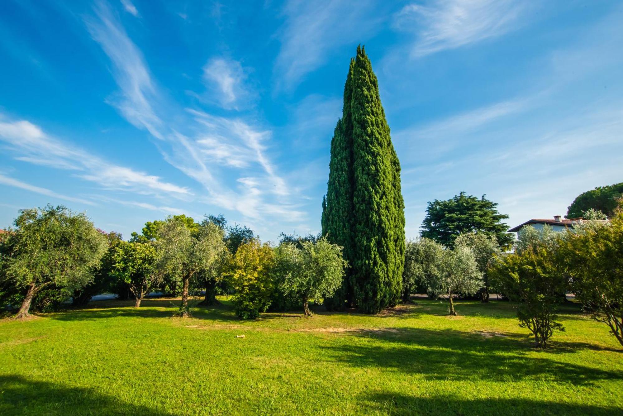 Marialuisa'S Home - Residence Gardoncino Манерба-дель-Гарда Экстерьер фото